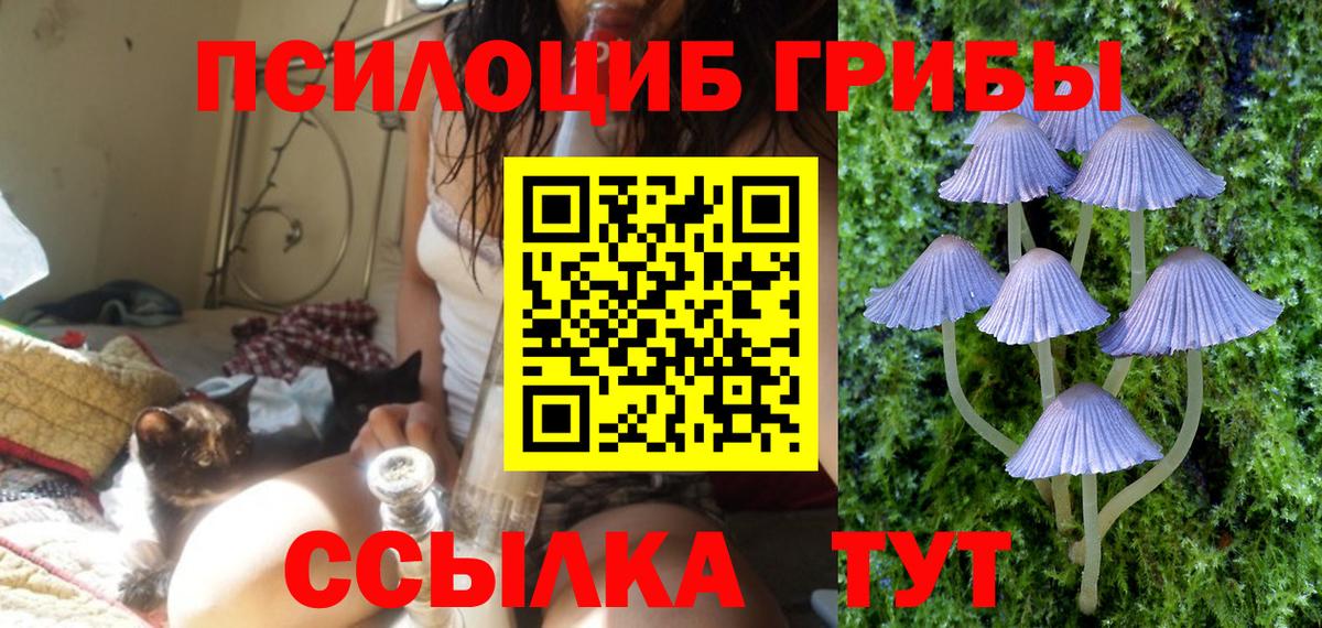 Сосновоборск  Псилоцибиновые грибы мухоморы  Вход с VPN  Псилоцибиновые грибы Cubensis 